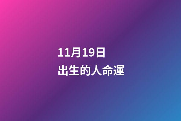 11月19日出生的人命運(關(guān)于養(yǎng)貓的知識點)-第1張-觀點-玄機派