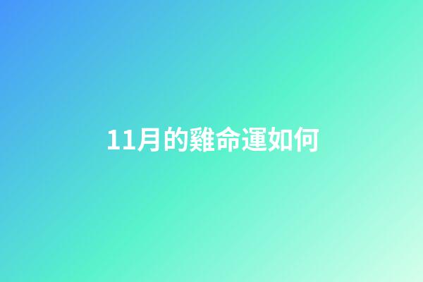 11月的雞命運如何(12 月 中 旬 蛋 價 走 低，需 求 走 弱)-第1張-觀點-玄機派
