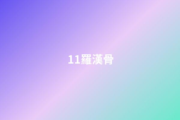 11.羅漢骨