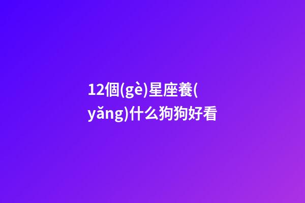 12個(gè)星座養(yǎng)什么狗狗好看-第1張-星座運(yùn)勢(shì)-玄機(jī)派