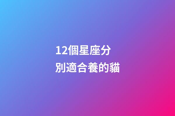12個星座分別適合養的貓-第1張-星座運勢-玄機派