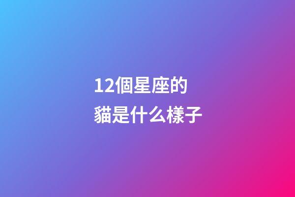 12個星座的貓是什么樣子-第1張-星座運勢-玄機派
