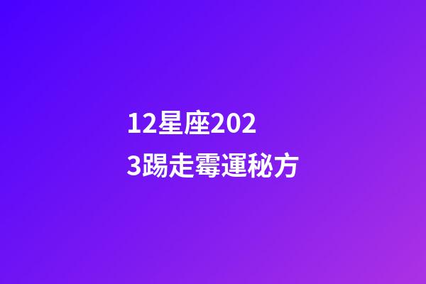 12星座2023踢走霉運秘方-第1張-星座運勢-玄機派