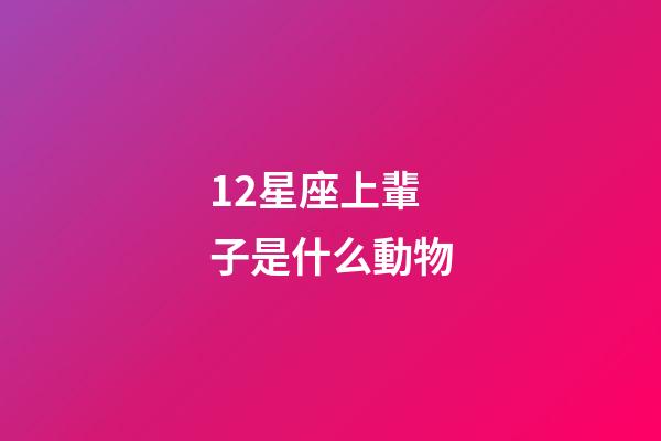 12星座上輩子是什么動物-第1張-星座運勢-玄機派