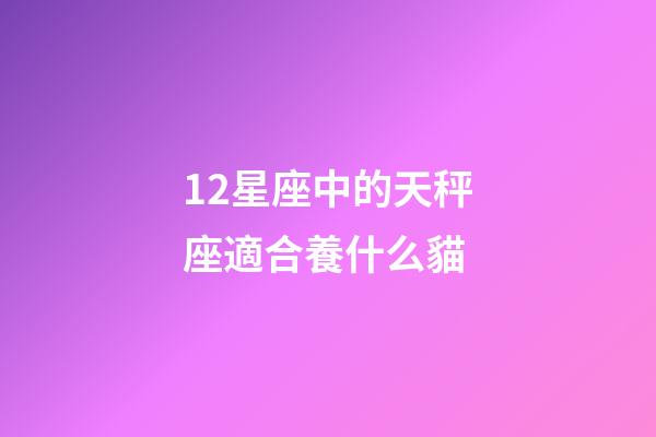 12星座中的天秤座適合養什么貓-第1張-星座運勢-玄機派