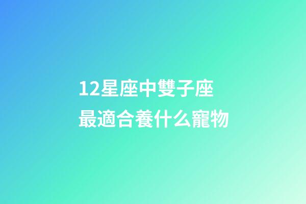 12星座中雙子座最適合養什么寵物-第1張-星座運勢-玄機派