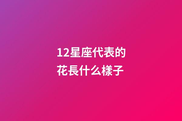 12星座代表的花長什么樣子-第1張-星座運勢-玄機派