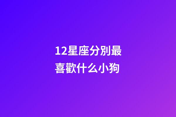 12星座分別最喜歡什么小狗-第1張-星座運勢-玄機派