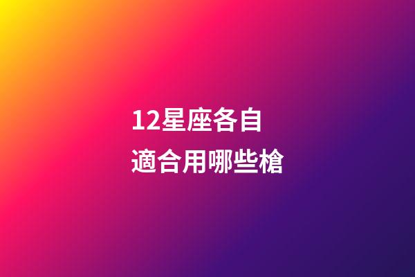 12星座各自適合用哪些槍-第1張-星座運(yùn)勢(shì)-玄機(jī)派
