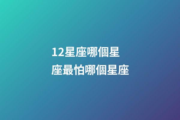 12星座哪個星座最怕哪個星座-第1張-星座運勢-玄機派