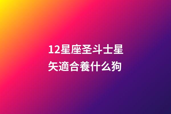 12星座圣斗士星矢適合養什么狗-第1張-星座運勢-玄機派