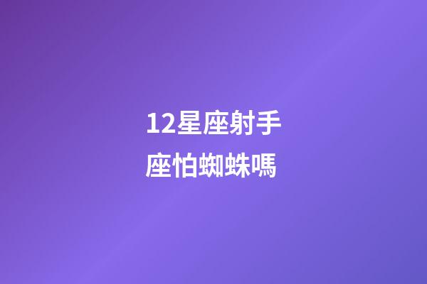 12星座射手座怕蜘蛛嗎-第1張-星座運勢-玄機派