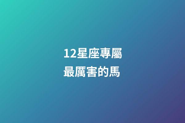 12星座專屬最厲害的馬-第1張-星座運勢-玄機派