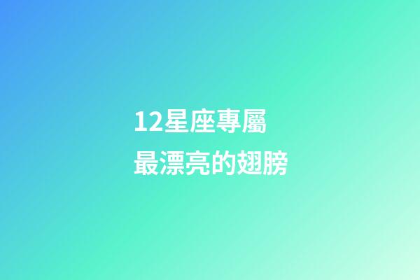 12星座專屬最漂亮的翅膀-第1張-星座運(yùn)勢(shì)-玄機(jī)派