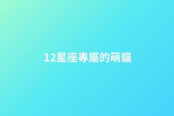 12星座專屬的萌貓-第1張-星座運勢-玄機派