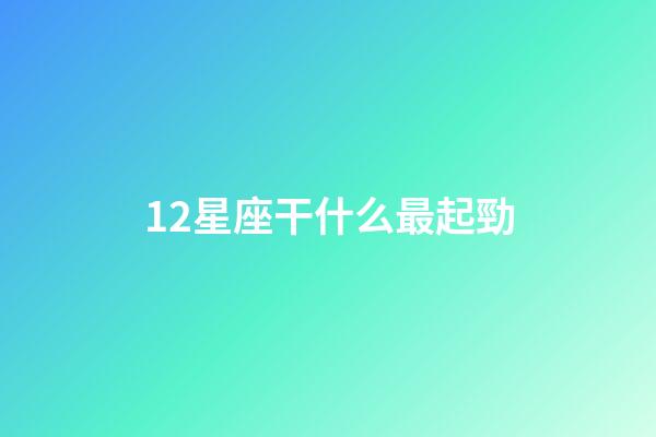 12星座干什么最起勁-第1張-星座運勢-玄機派