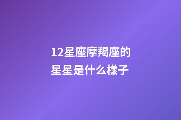 12星座摩羯座的星星是什么樣子-第1張-星座運勢-玄機派