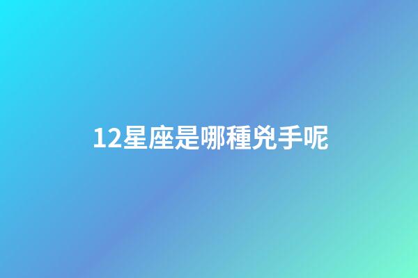 12星座是哪種兇手呢-第1張-星座運勢-玄機派
