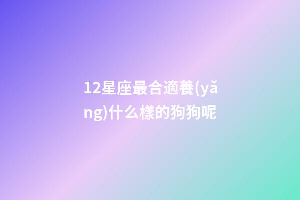 12星座最合適養(yǎng)什么樣的狗狗呢-第1張-星座運(yùn)勢-玄機(jī)派