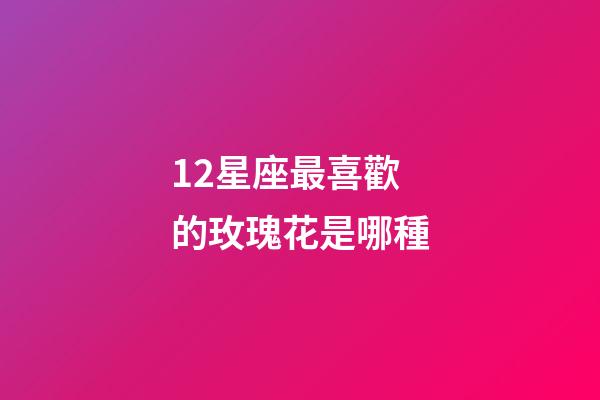 12星座最喜歡的玫瑰花是哪種-第1張-星座運勢-玄機派