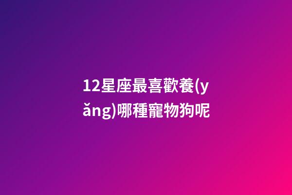12星座最喜歡養(yǎng)哪種寵物狗呢-第1張-星座運(yùn)勢(shì)-玄機(jī)派