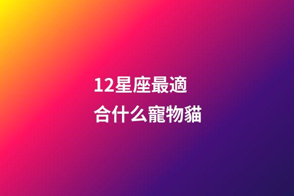 12星座最適合什么寵物貓-第1張-星座運勢-玄機派