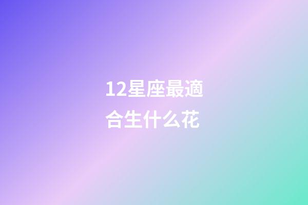 12星座最適合生什么花