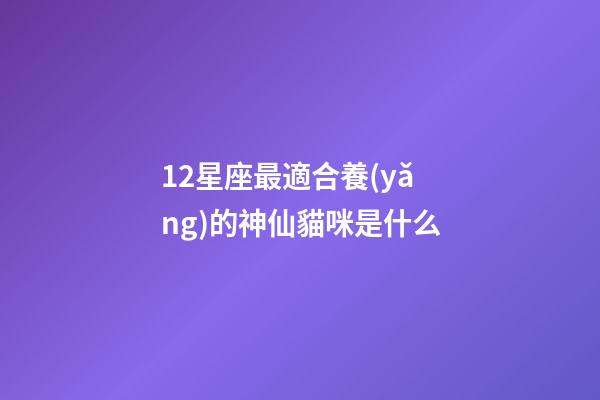 12星座最適合養(yǎng)的神仙貓咪是什么-第1張-星座運(yùn)勢-玄機(jī)派