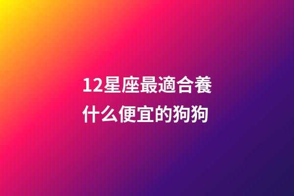 12星座最適合養什么便宜的狗狗-第1張-星座運勢-玄機派