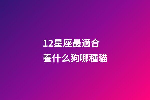 12星座最適合養什么狗哪種貓-第1張-星座運勢-玄機派