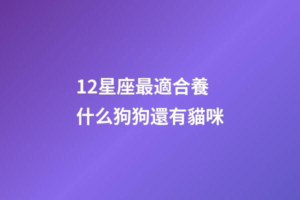 12星座最適合養什么狗狗還有貓咪-第1張-星座運勢-玄機派