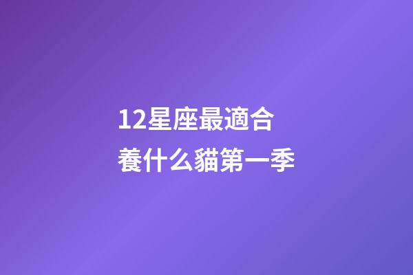 12星座最適合養什么貓第一季