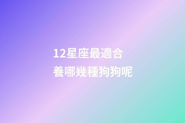 12星座最適合養哪幾種狗狗呢-第1張-星座運勢-玄機派