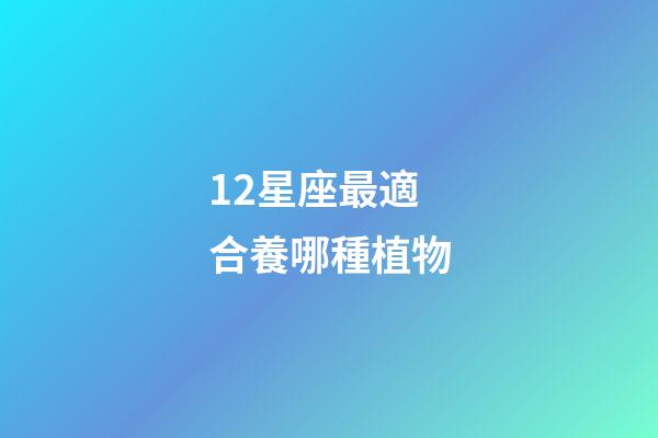 12星座最適合養哪種植物-第1張-星座運勢-玄機派