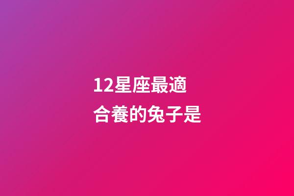 12星座最適合養的兔子是-第1張-星座運勢-玄機派