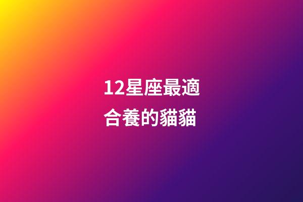 12星座最適合養的貓貓-第1張-星座運勢-玄機派