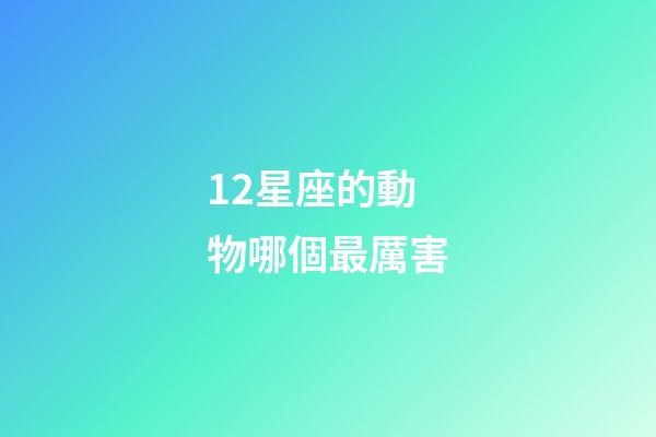 12星座的動物哪個最厲害-第1張-星座運勢-玄機派