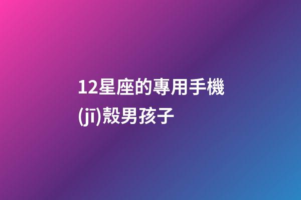 12星座的專用手機(jī)殼男孩子-第1張-星座運(yùn)勢-玄機(jī)派