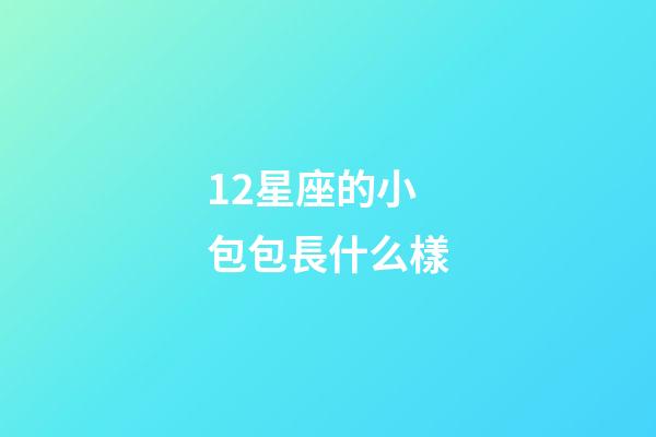 12星座的小包包長什么樣-第1張-星座運勢-玄機派