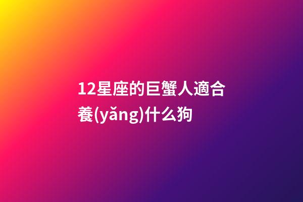 12星座的巨蟹人適合養(yǎng)什么狗-第1張-星座運(yùn)勢(shì)-玄機(jī)派