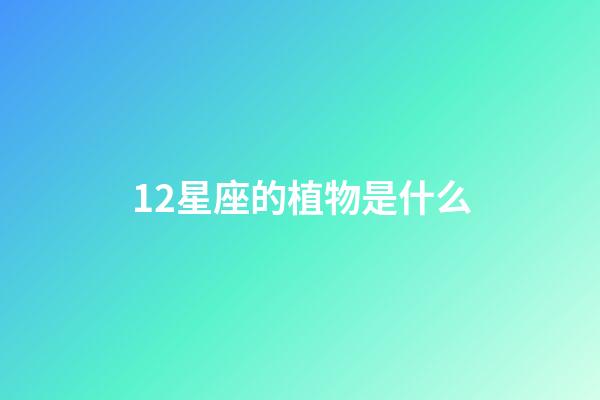 12星座的植物是什么-第1張-星座運勢-玄機派