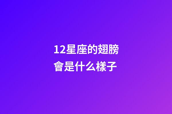 12星座的翅膀會是什么樣子