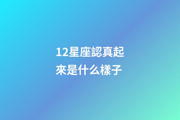 12星座認真起來是什么樣子-第1張-星座運勢-玄機派