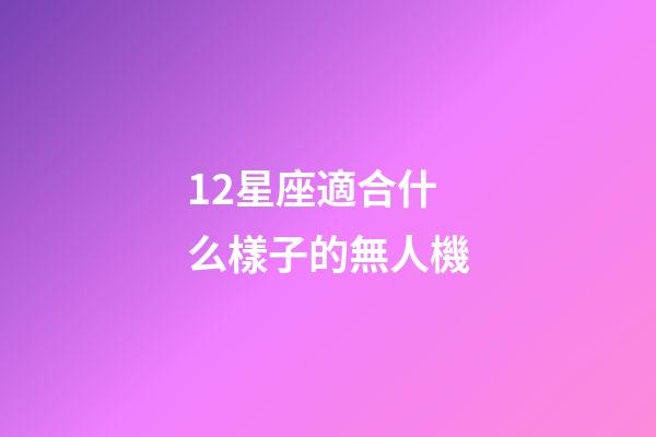 12星座適合什么樣子的無人機-第1張-星座運勢-玄機派