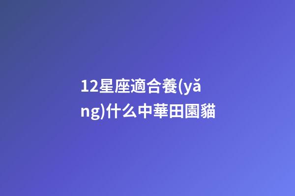 12星座適合養(yǎng)什么中華田園貓