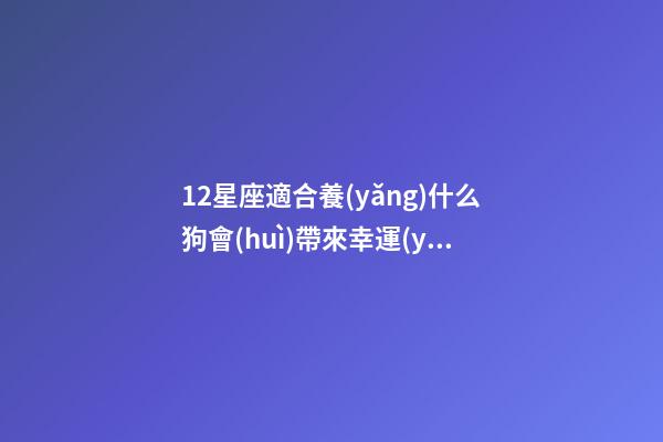 12星座適合養(yǎng)什么狗會(huì)帶來幸運(yùn)呢-第1張-星座運(yùn)勢-玄機(jī)派