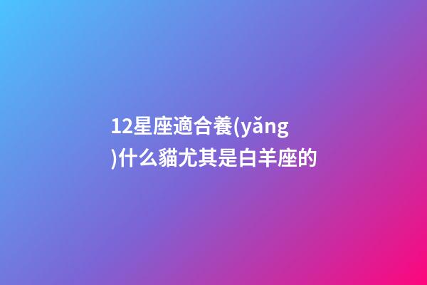 12星座適合養(yǎng)什么貓尤其是白羊座的-第1張-星座運勢-玄機(jī)派