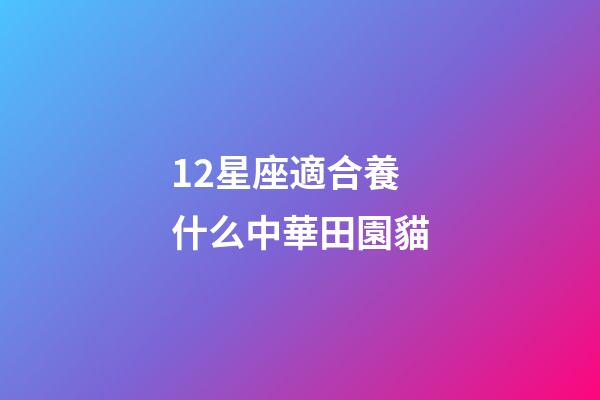 12星座適合養什么中華田園貓
