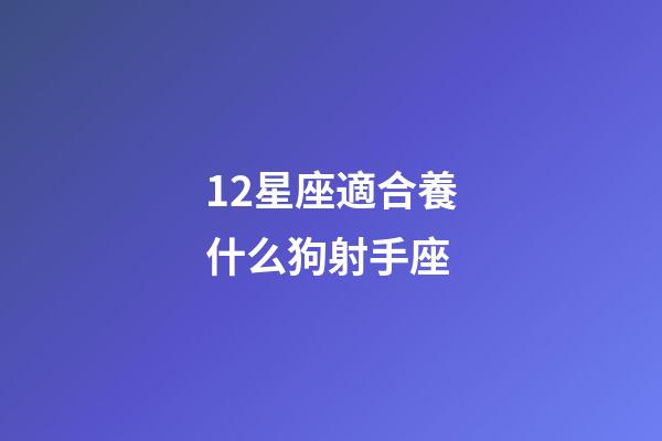 12星座適合養什么狗射手座-第1張-星座運勢-玄機派