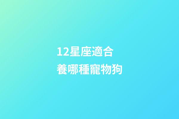 12星座適合養哪種寵物狗-第1張-星座運勢-玄機派